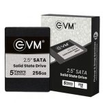EVM SSD Laptop Desktop Internal Solid State Drive 256GB Eastern Logica